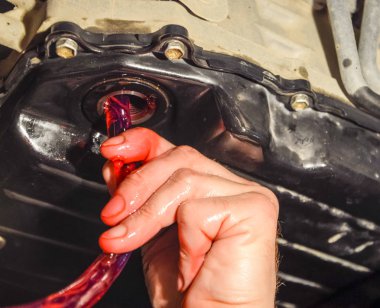 Otomatik şanzıman yağ değişimi. Hortum aracılığıyla petrol dolum. Araba bakım istasyonu. Kırmızı dişli yağı. Araba tamircisi yağı eller