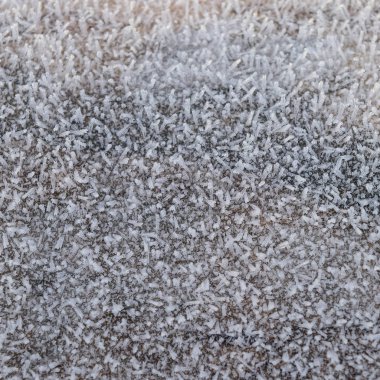 Hoarfrost ağaç gövde yüzeyi