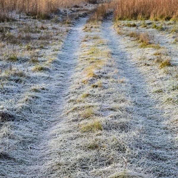 La route vers l'herbe givrée. Froid sur la route Image En Vente