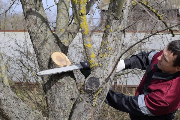 Hombre cortó una sierra eléctrica. El tronco de la sierra corta ramas . — Foto de Stock