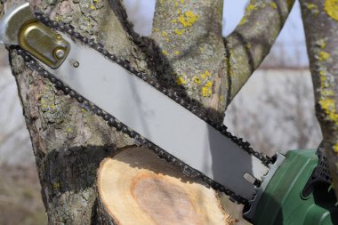Boyutlanmış elektrikli testere ağaç