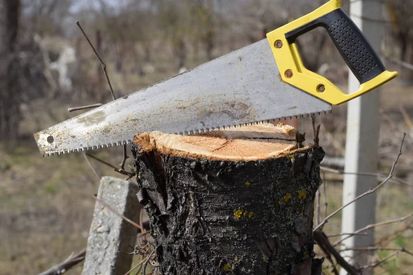 Vi una sierra en la rama cortada. Cortar una rama de árbol con una sierra de jardín manual . — Foto de Stock