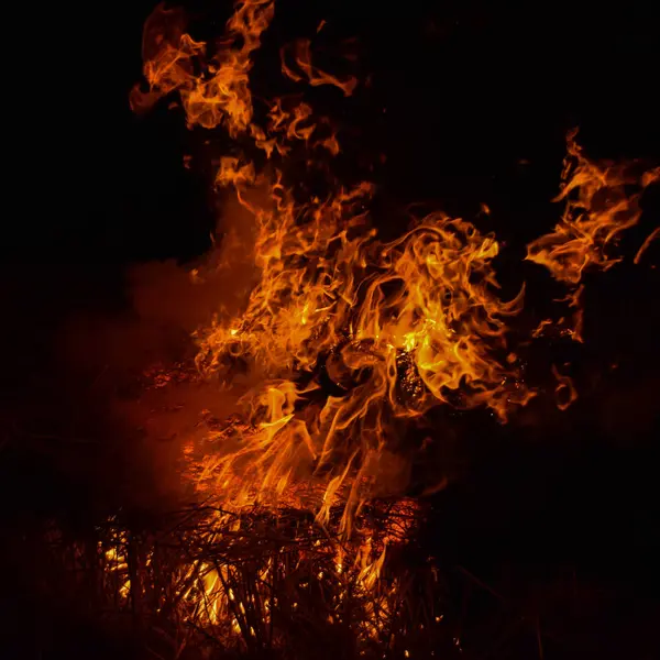 Quemadura de paja de arroz por la noche . —  Fotos de Stock