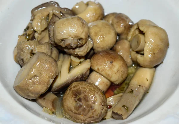 Gekochte Champignon-Pilze in weißem Teller — Stockfoto