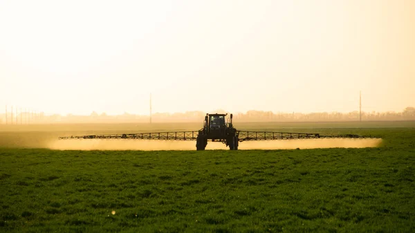 Traktor na slunce pozadí. Traktor s vysoká kola dělá hnojivo na mladé pšenice. — Stock fotografie