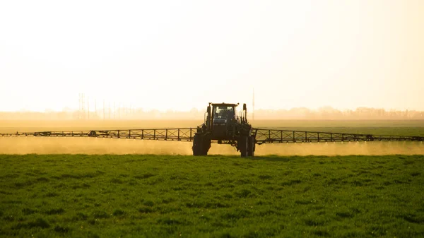 Traktor na slunce pozadí. Traktor s vysoká kola dělá hnojivo na mladé pšenice. — Stock fotografie