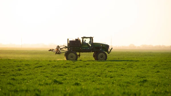 Traktor di latar belakang matahari terbenam. Traktor dengan roda tinggi membuat pupuk pada gandum muda . — Stok Foto