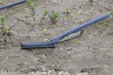 Sahada sulama damla, damla sulama hortumları siyah.