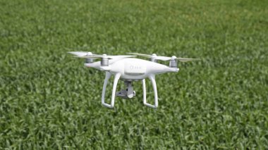 Beyaz quadrocopters buğday bir alan üzerinde uçan