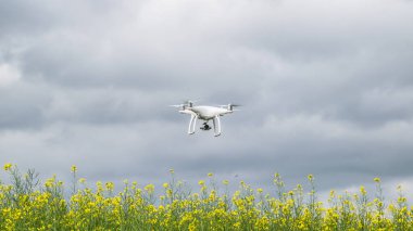 Çiçekli tecavüz alanında beyaz drone.