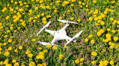 Quadrocopter dji Phantom 4 karahindiba çiçekler ile bir takas üzerinde.