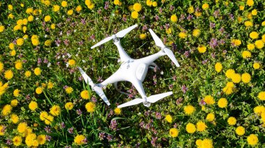 Quadrocopter dji Phantom 4 karahindiba çiçekler ile bir takas üzerinde.