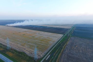 Buğday ürün hasat sonra alanları yanan saman