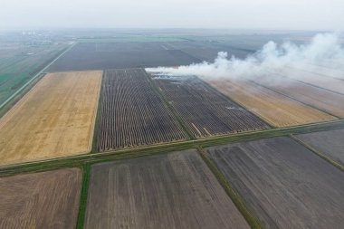 Buğday ürün hasat sonra alanları yanan saman