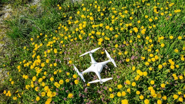 Quadrocopter dji Phantom 4 karahindiba çiçekler ile bir takas üzerinde.