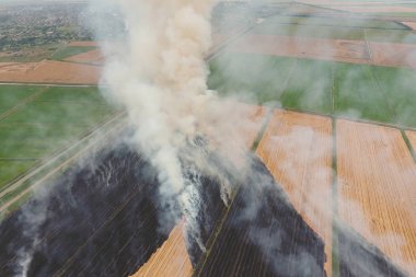 Buğday hasat sonra alanlarında yanan saman