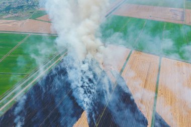 Buğday hasat sonra alanlarında yanan saman