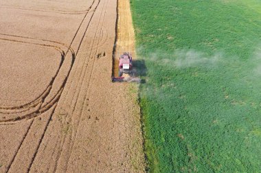 Temizlik buğday hasat. Üstten Görünüm.