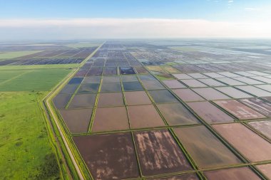 Sular altında pirinç paddies. F pirinç büyüyen agronomik yöntemleri
