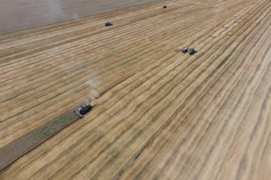 υψηλής ανάλυσης απόδοσης μιας πυξίδας με ένα εικονίδιο του πελάτη