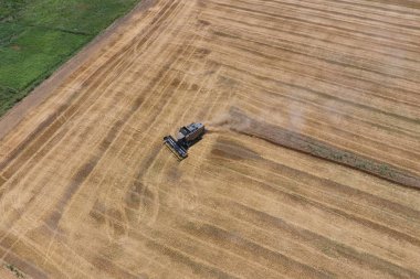υψηλής ανάλυσης απόδοσης μιας πυξίδας με ένα εικονίδιο του πελάτη