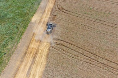 υψηλής ανάλυσης απόδοσης μιας πυξίδας με ένα εικονίδιο του πελάτη