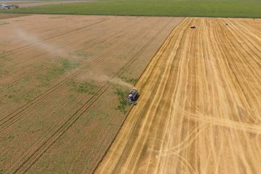 υψηλής ανάλυσης απόδοσης μιας πυξίδας με ένα εικονίδιο του πελάτη