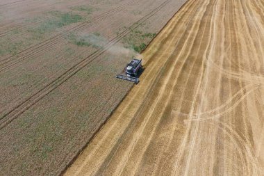 υψηλής ανάλυσης απόδοσης μιας πυξίδας με ένα εικονίδιο του πελάτη