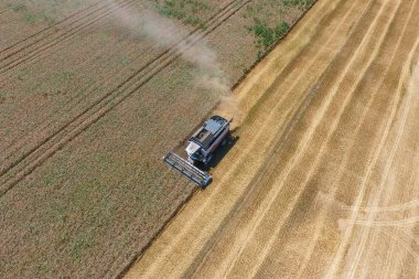 υψηλής ανάλυσης απόδοσης μιας πυξίδας με ένα εικονίδιο του πελάτη