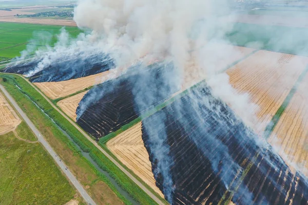 Paja ardiente en los campos de trigo después de la cosecha — Foto de Stock