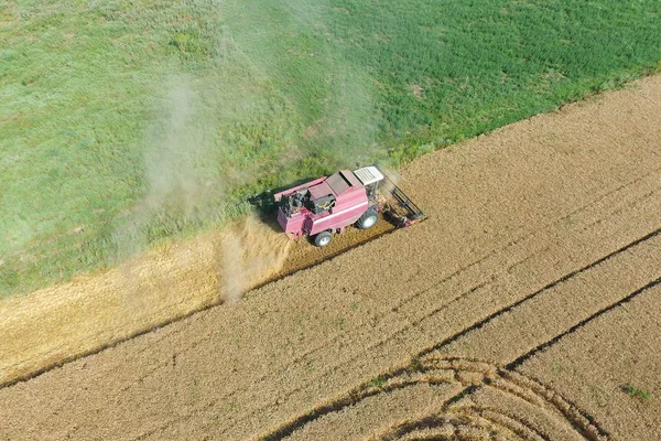 Limpieza cosechadora de trigo. Vista superior . — Foto de Stock
