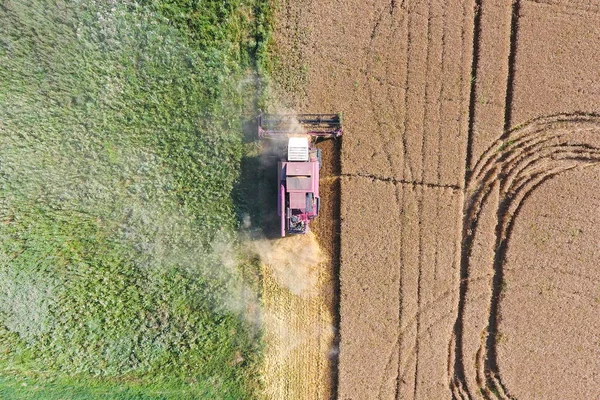 Очищення пшеничного комбайна. Вид зверху . — стокове фото
