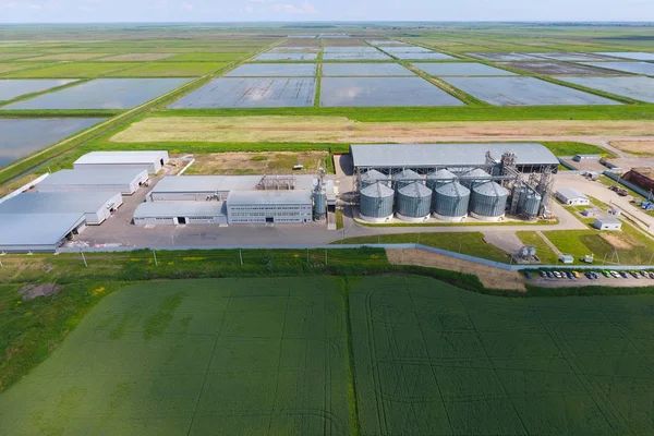 Plant voor het drogen en de opslag van graan. Bovenaanzicht. Graan terminal. — Stockfoto