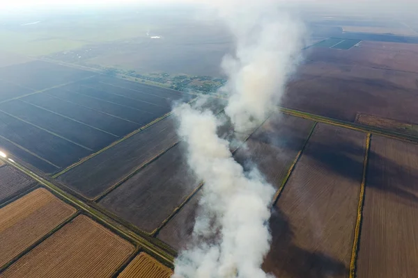 La quema de paja de arroz en los campos. Humo de la quema de paja de arroz en cheques. Fuego en el campo — Foto de Stock