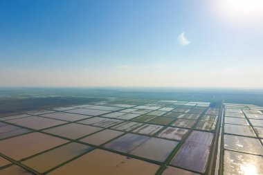 Pirinç tarlaları su basmış. Sular altında pirinç paddies. Alanları pirinç büyüyen Agronomik yöntemleri.