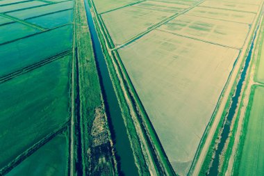 Pirinç tarlaları su basmış. Sular altında pirinç paddies. Alanları pirinç büyüyen Agronomik yöntemleri.
