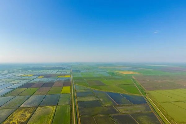 Pirinç tarlaları su basmış. Sular altında pirinç paddies. Alanları pirinç büyüyen Agronomik yöntemleri. — Stok fotoğraf