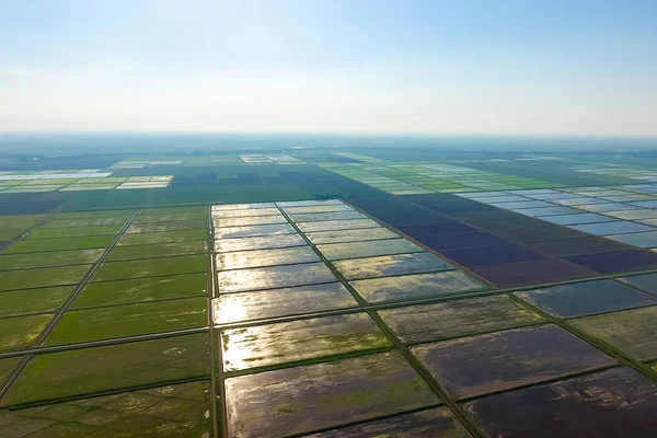Die Reisfelder sind mit Wasser überflutet. Landschaft vor der Sonne. überflutete Reisfelder. agronomische Anbaumethoden für Reis auf den Feldern. — Stockfoto