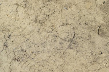 Toprak bir toprak yol üzerinde