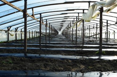 Seralar polimer film yaptı. Bahçe gre erken ilkbaharda