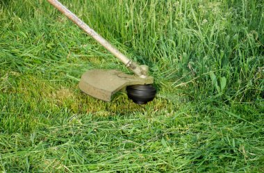 Uygulama & bıyık kesme makineleri. Balık tutma çizgi düzeltici kullanarak yeşil çim biçme