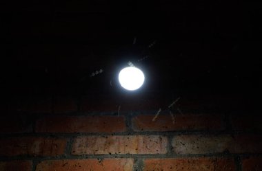 Böceklerin ışığının çekimi. Bir ampulde gece böcekleri