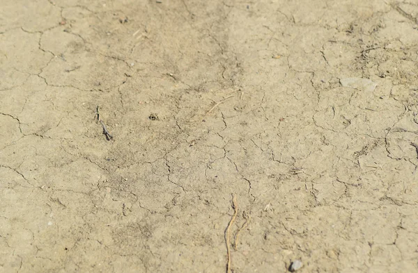 Почва на грунтовой дороге — стоковое фото