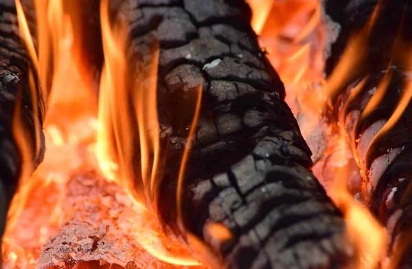 Гаряче вугілля в плиті — стокове фото