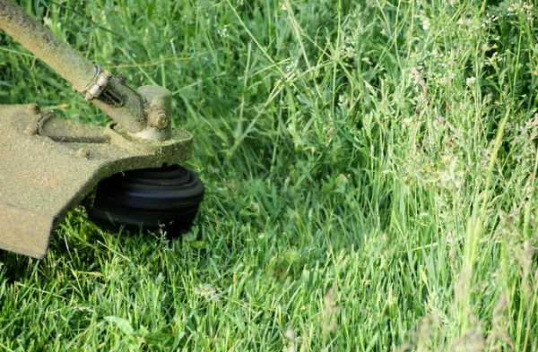 Pemangkas aplikasi. Memotong rumput hijau menggunakan trimmer pancing — Stok Foto