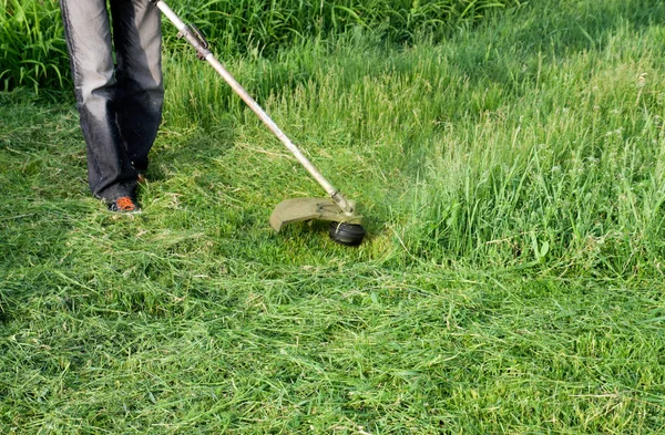 Aplikace trávníků. Sečení zelené trávy pomocí rybolovná strunové — Stock fotografie