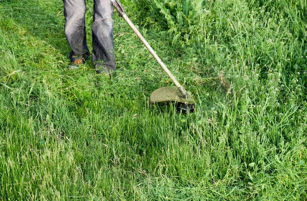 Pemangkas aplikasi. Memotong rumput hijau menggunakan trimmer pancing — Stok Foto