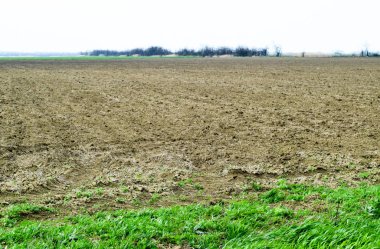 bahar alan. Bahar sürülmüş alan.