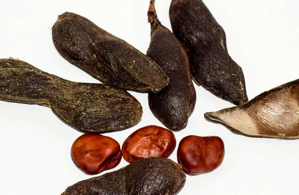 白い背景の上の豆の種。乾燥豆. — ストック写真
