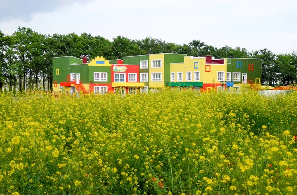 Здание детского сада за поляной желтых цветов — стоковое фото